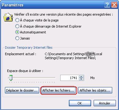 Afficher les fichiers du cache d'Internet Explorer