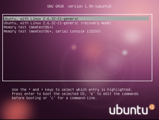 Capture Grub2 Ubuntu