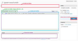 Publier un article sur son blog WordPress