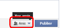 Bouton pour choisir les personnes qui peuvent voir la publication facebook