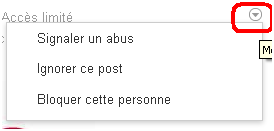 Flèche pour voir les paramètres d'un post google plus