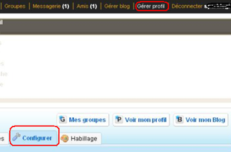 Comment modifier mon profil Skyrock