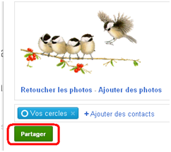 Bouton partager l'image sur le compte google plus