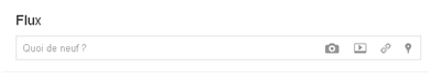 Formulaire du flux de google plus