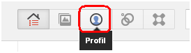 Bouton profil google plus