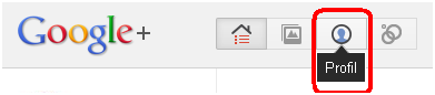 Bouton profil de google plus