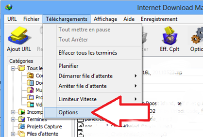 Options de téléchargement IDM