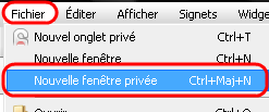 Se connecter en mode navigation privée sur Opera