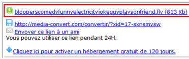 Lien du téléchargement de la vidéo converti