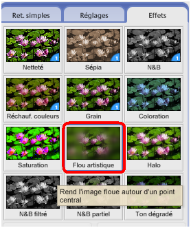 Les types des effets d'images Picasa