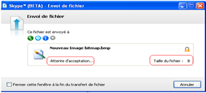 envoyer un fichier a un ami par Skype