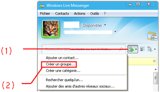 démarrer un groupe de discussion sur MSN