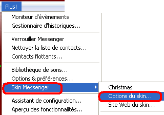 Modifier les paramètres d’un skin