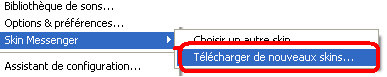 Télécharger un nouveau skin sur msn plus