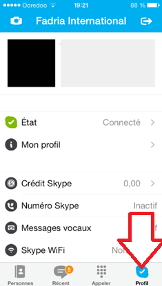 Profil Skype