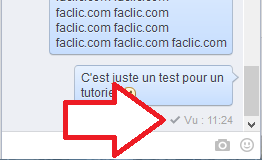 Message Vu de la dicussion Facebook